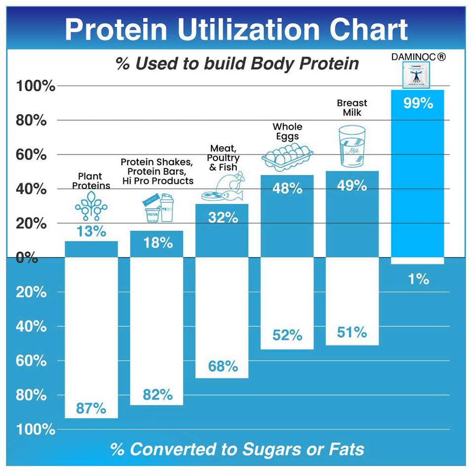 Protein Utilization S en